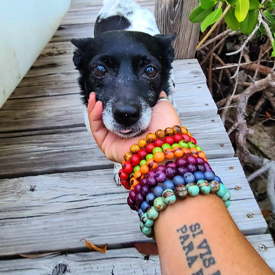 Amazonia Açaí Bracelets